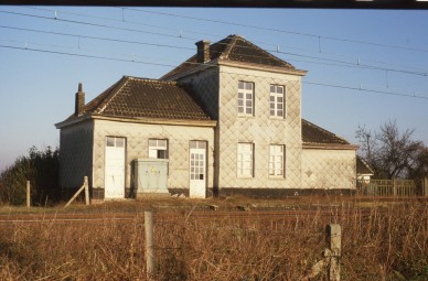HALEWIJN  DIA 83-13130.jpg